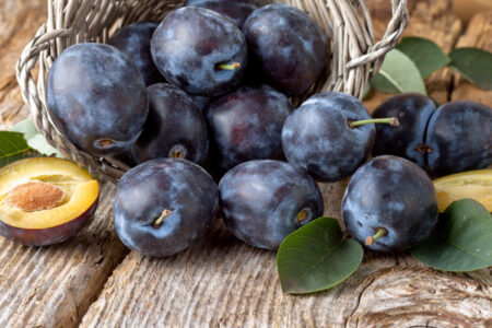 Canning Plums: Halved or Whole Image